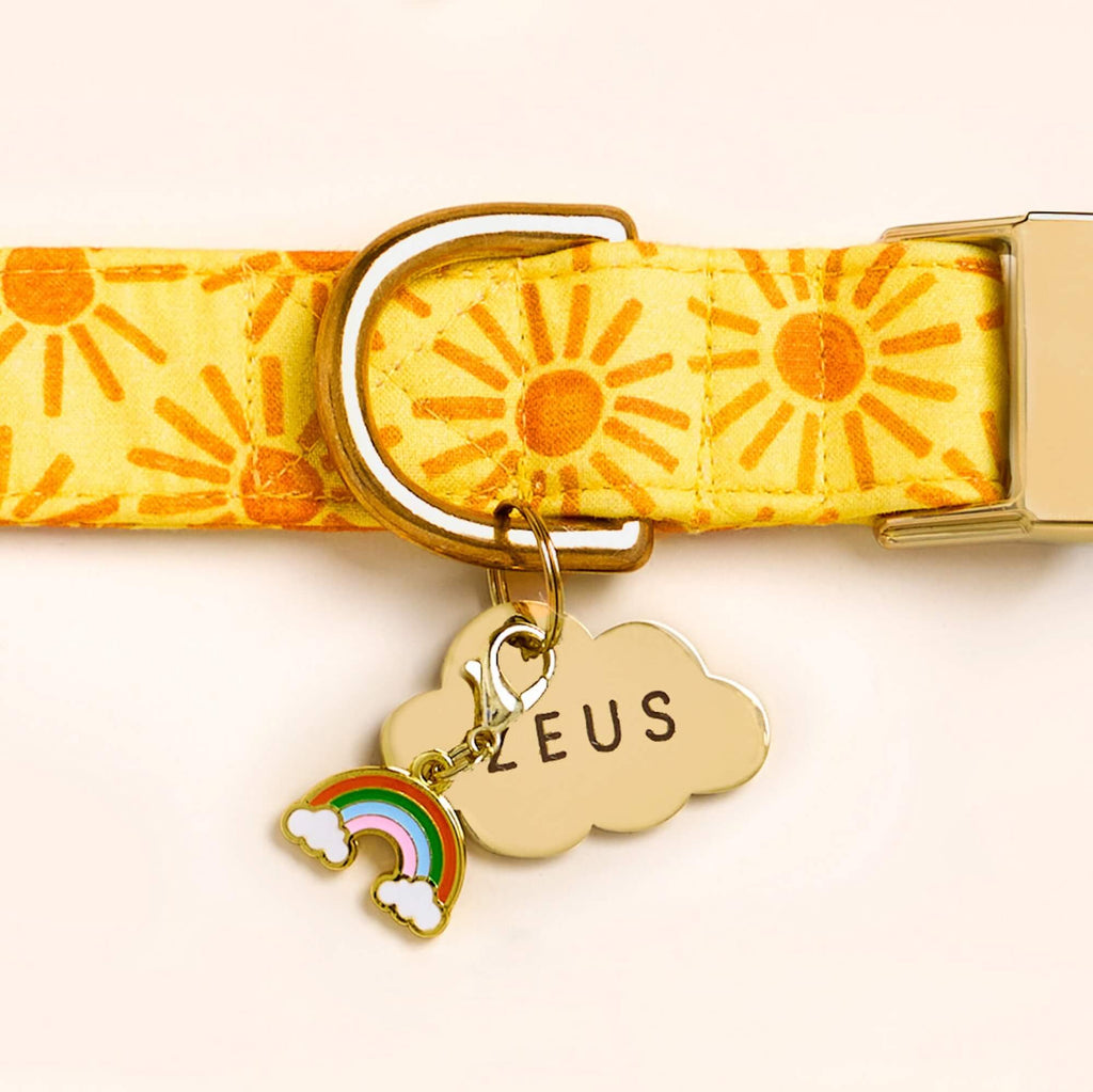 Cloud Pet ID Tag