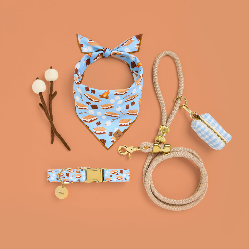 Sky Blue Gingham Waste Bag Holder