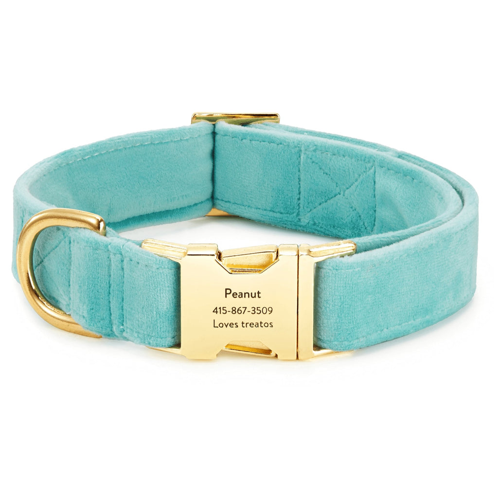 Robin¡¯s Egg Velvet Dog Collar