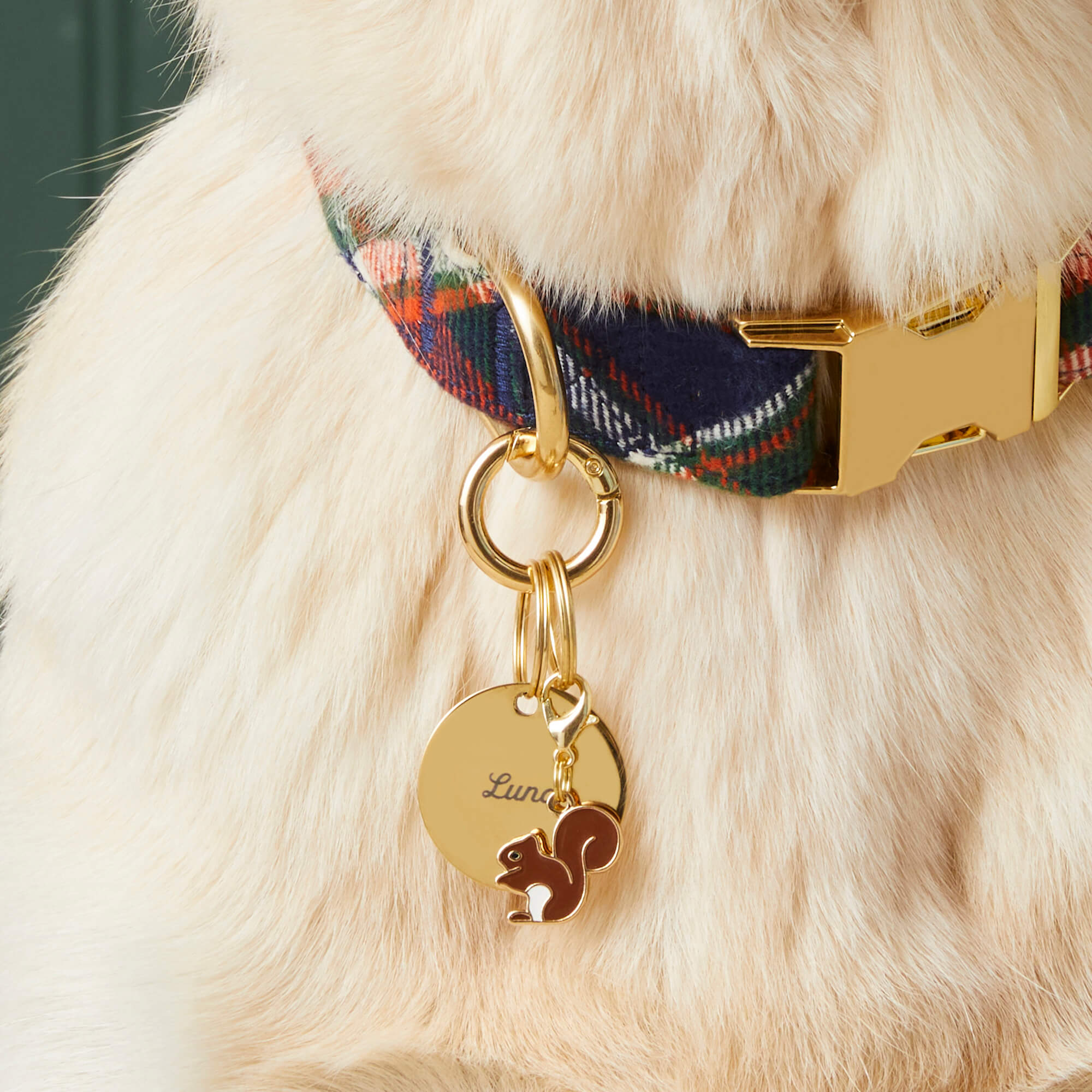 Pet Tag Keeper
