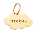 Cloud Pet ID Tag