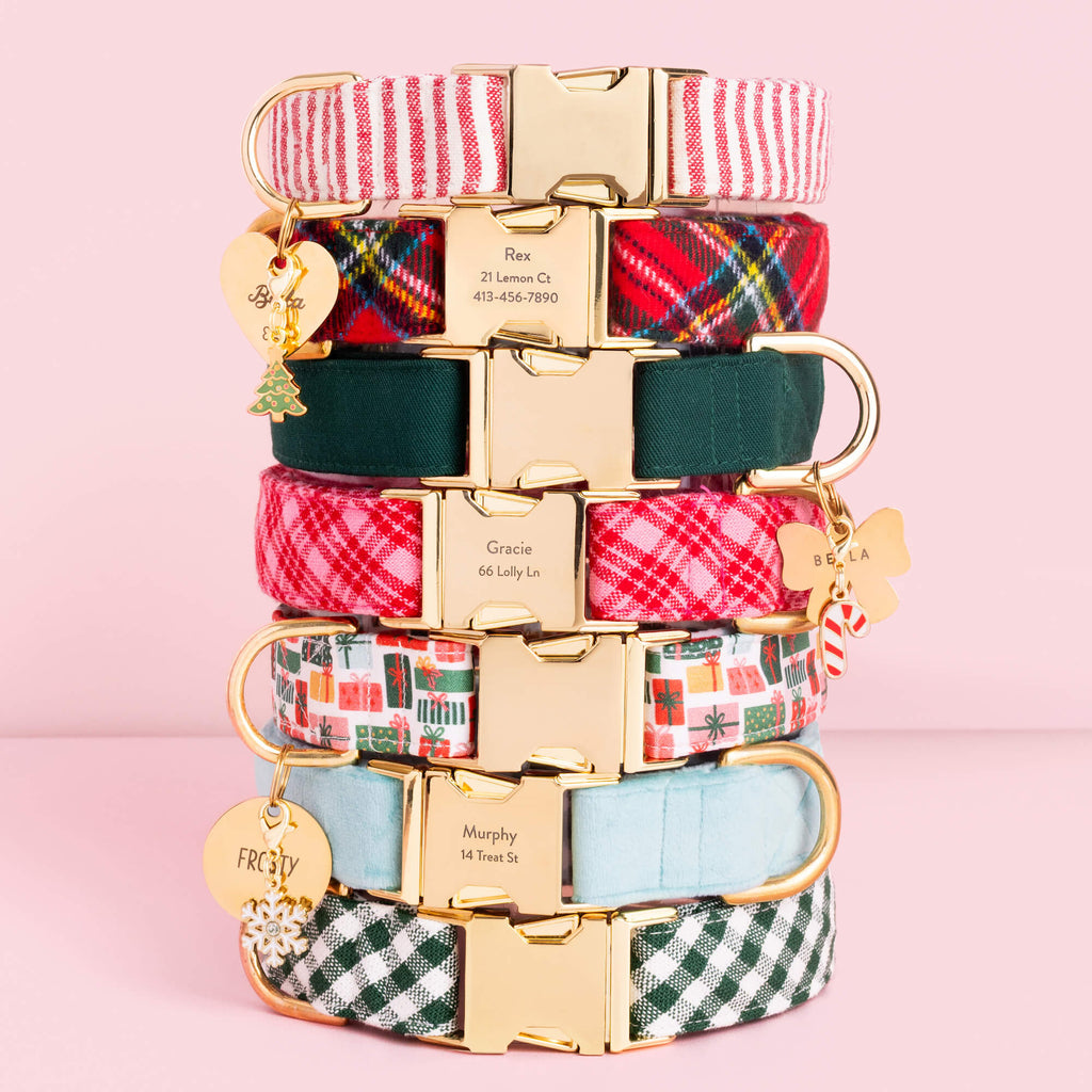 Robin¡¯s Egg Velvet Dog Collar