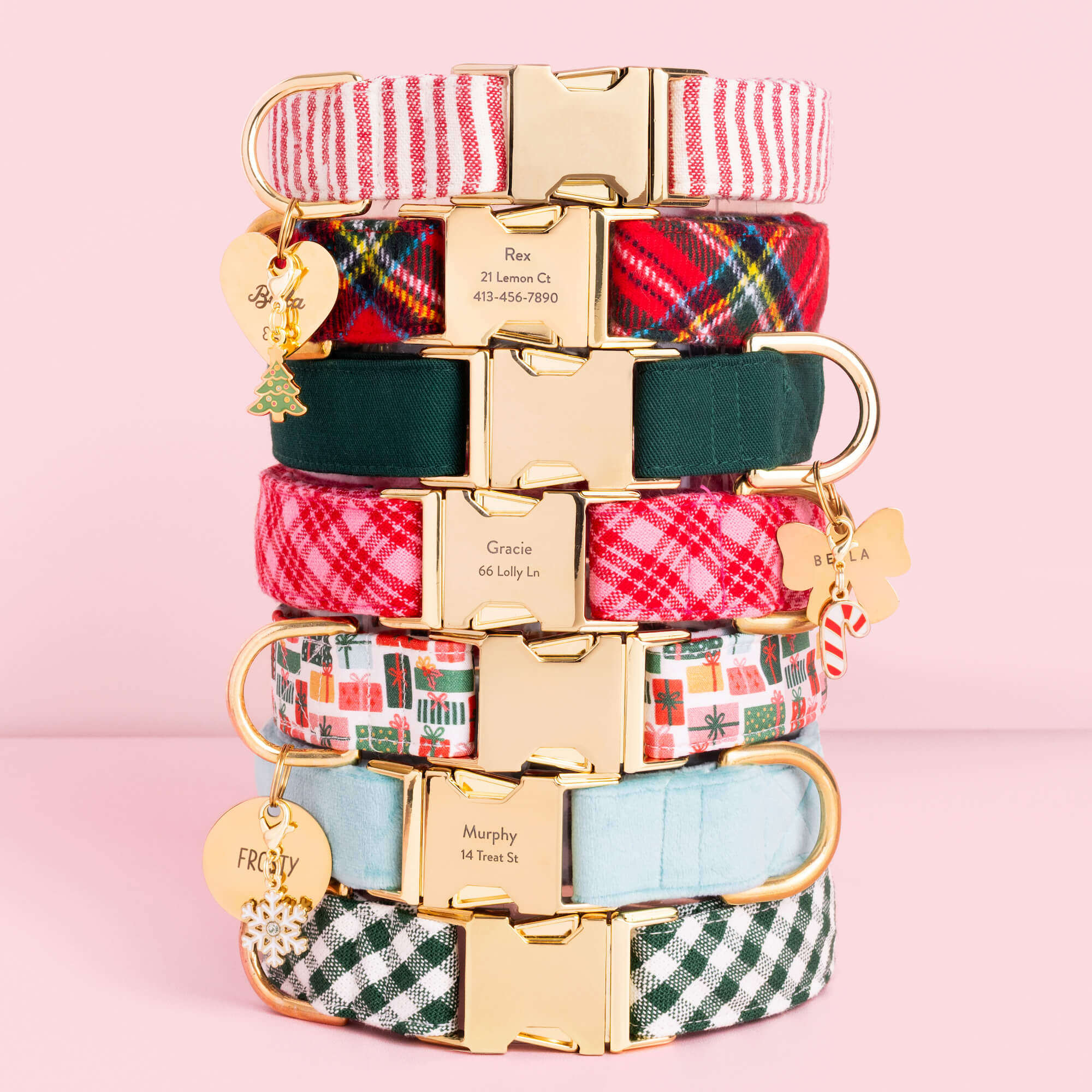 Heather Taylor Home x TFD Katherine Plaid Valentine Dog Collar