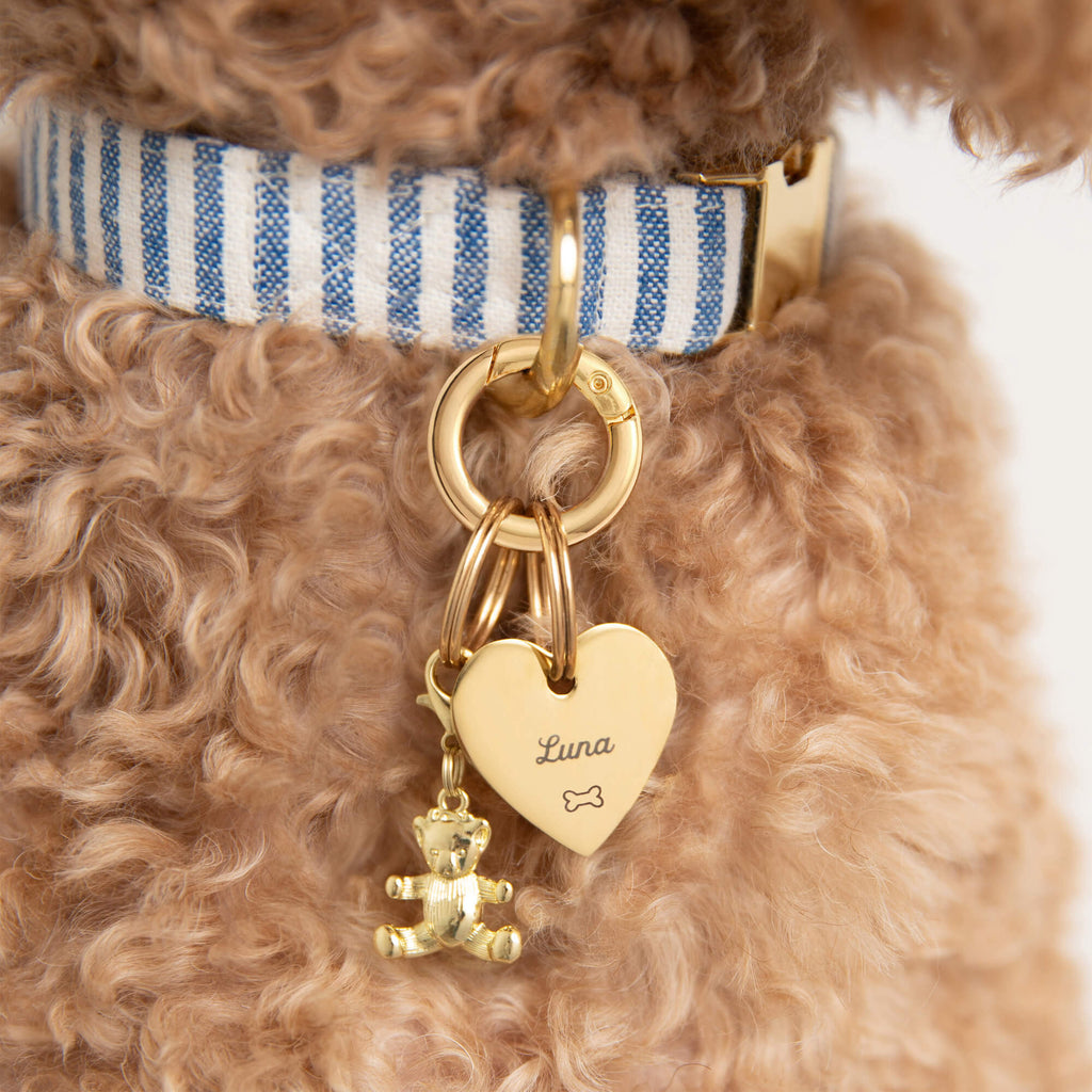 Heart Pet ID Tag: Bone Icon