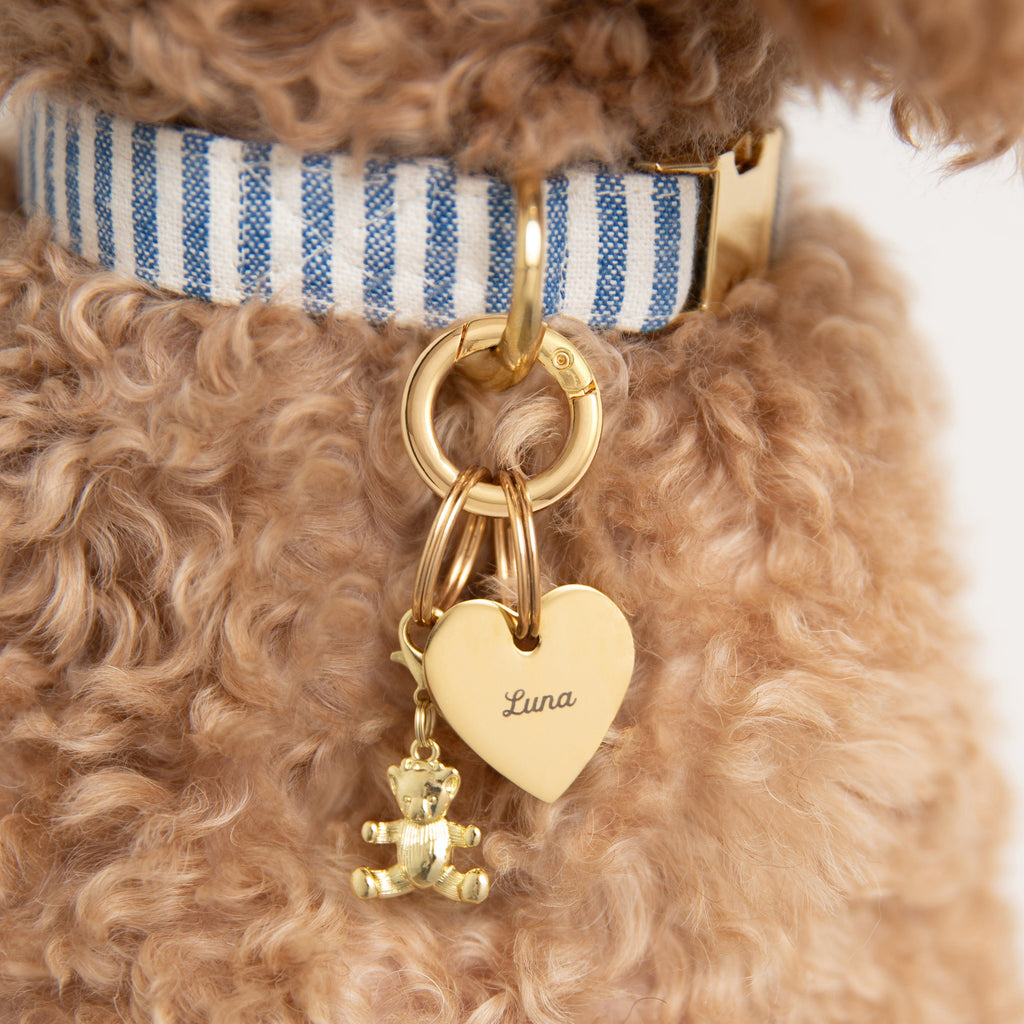 Pet Tag Keeper