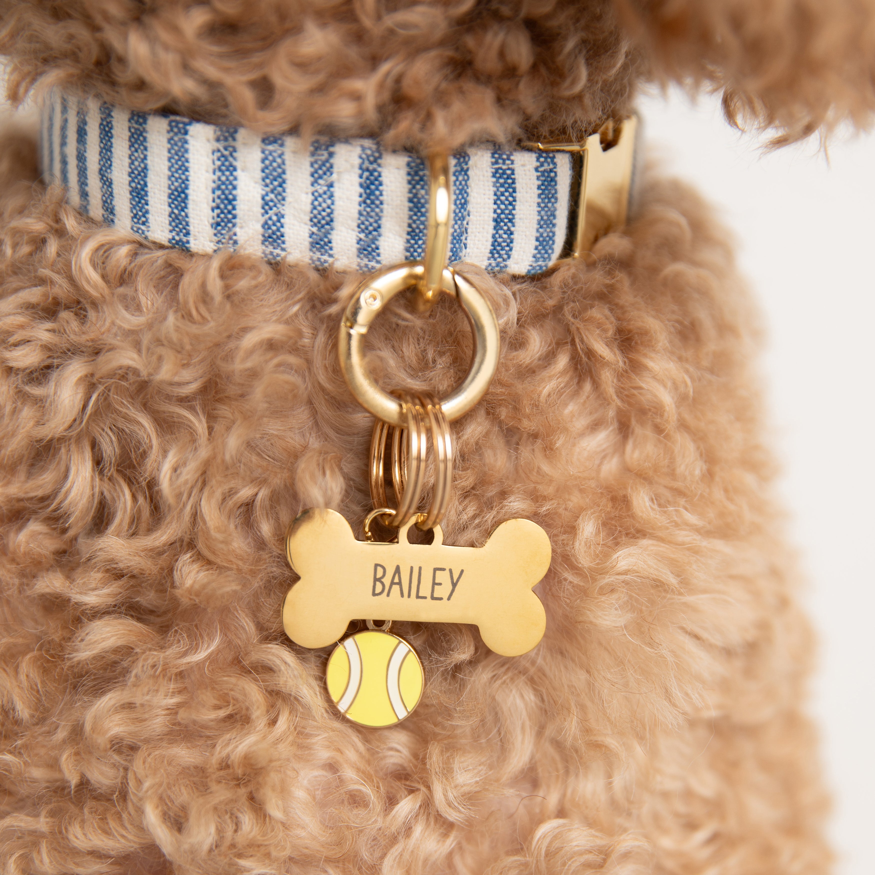 Pet Tag Keeper