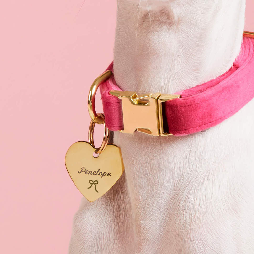 Heart Pet ID Tag: Bow Icon