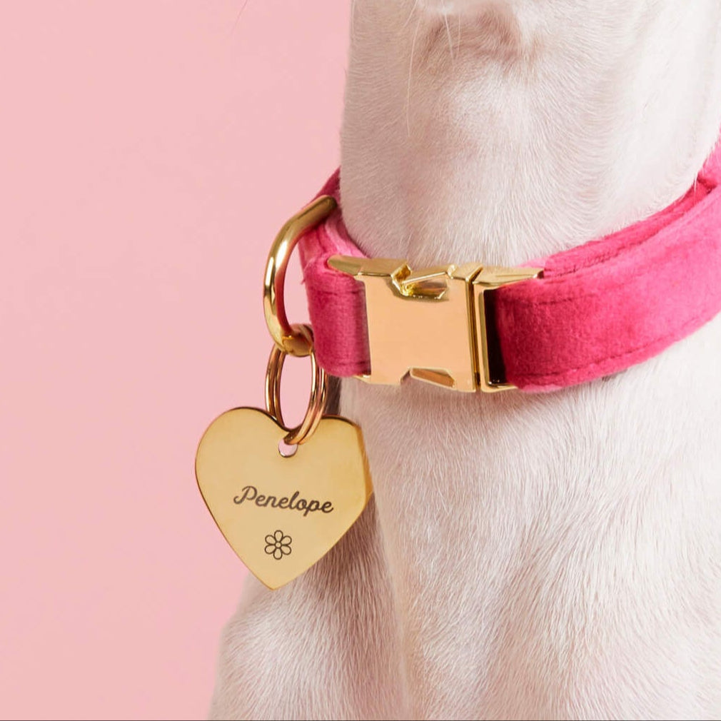 Heart Pet ID Tag: Flower Icon