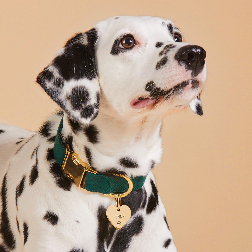 Heart Pet ID Tag: Snowflake Icon