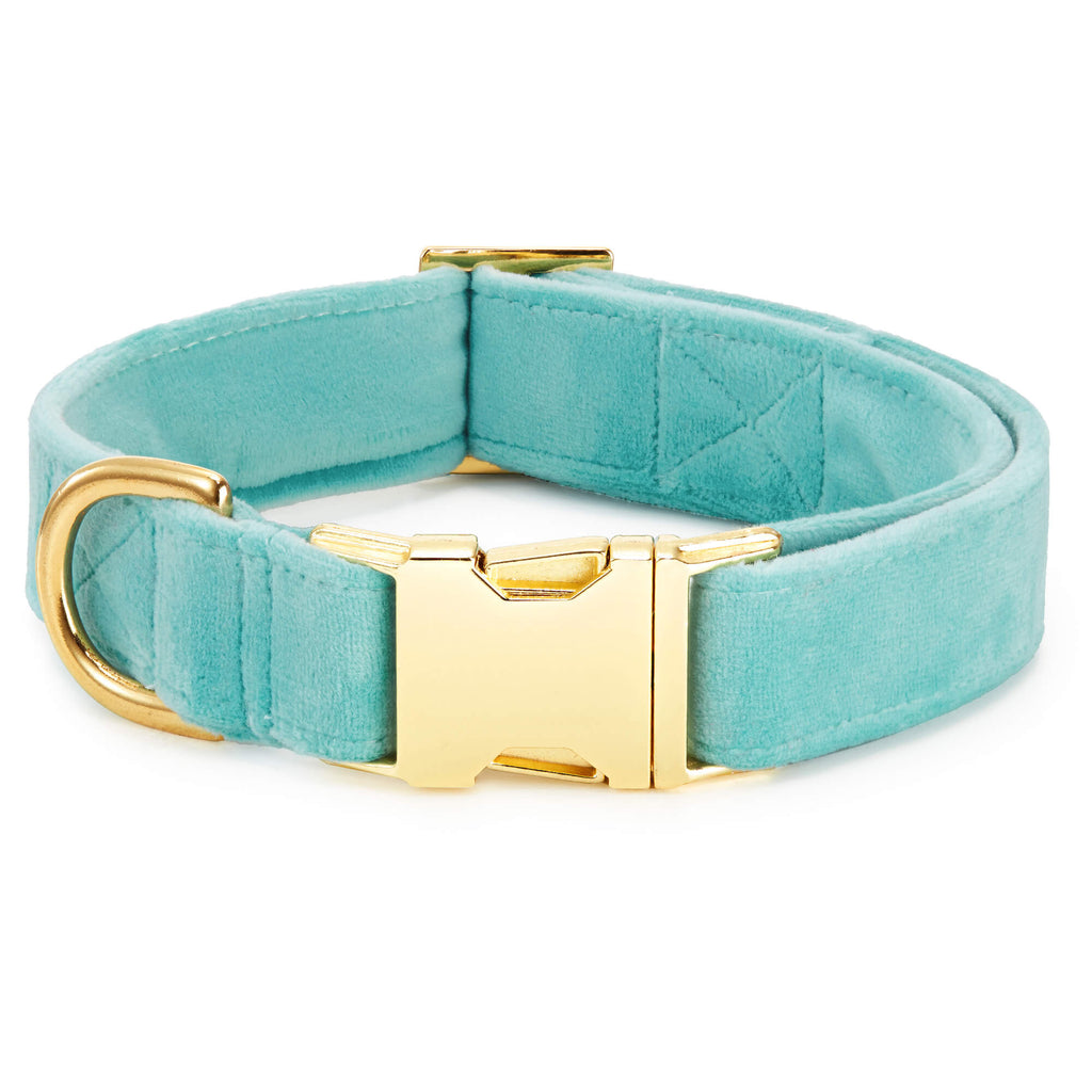 Robin¡¯s Egg Velvet Dog Collar