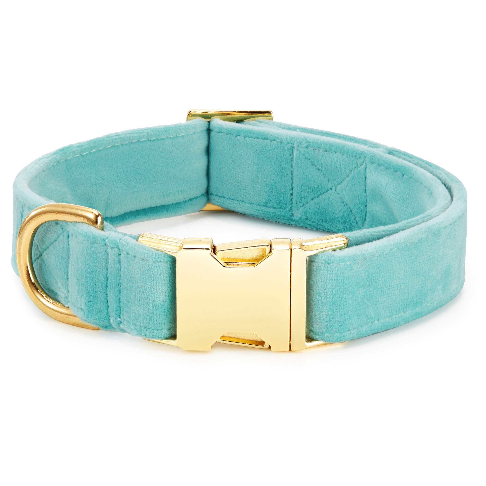Robin¡¯s Egg Velvet Dog Collar