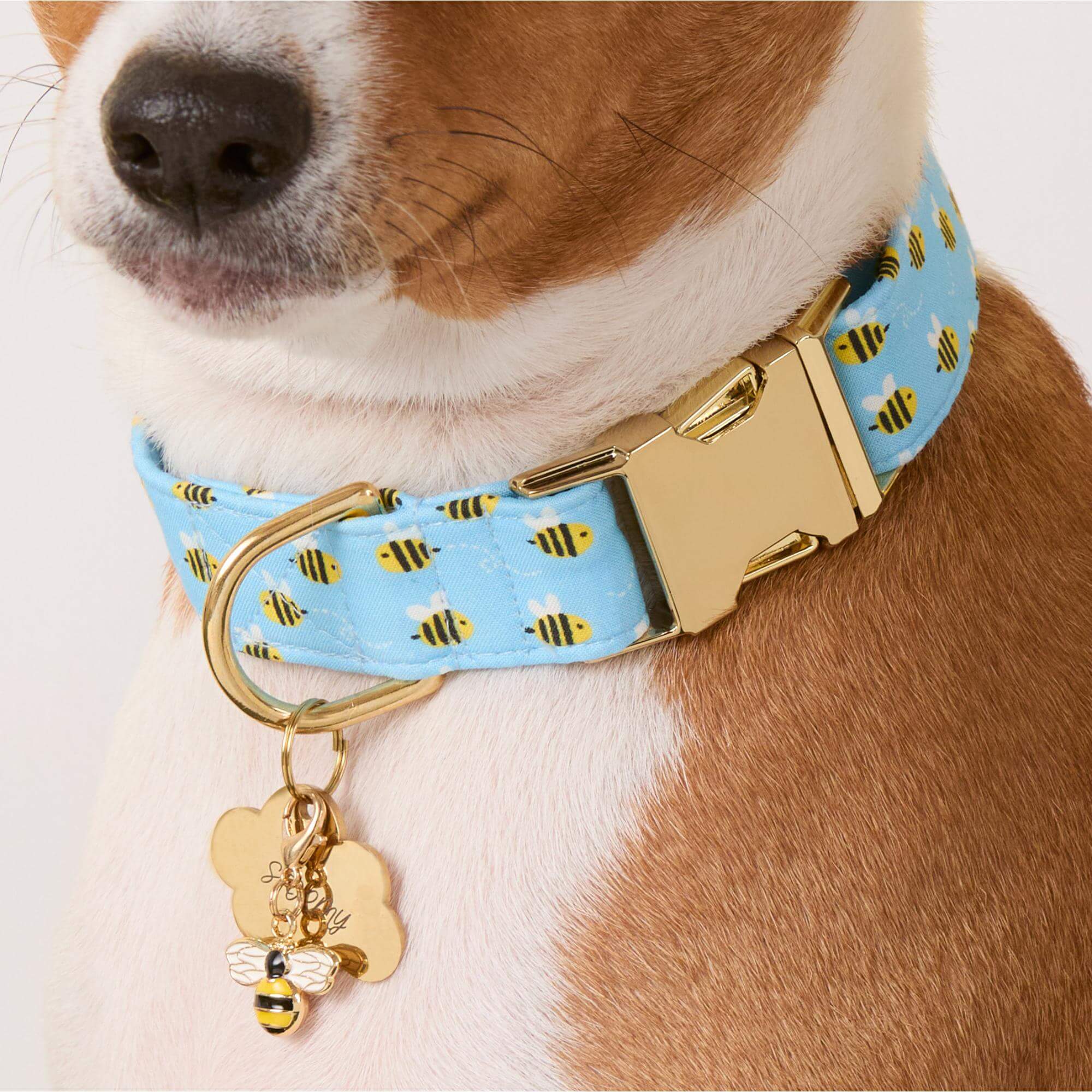 Cloud Pet ID Tag