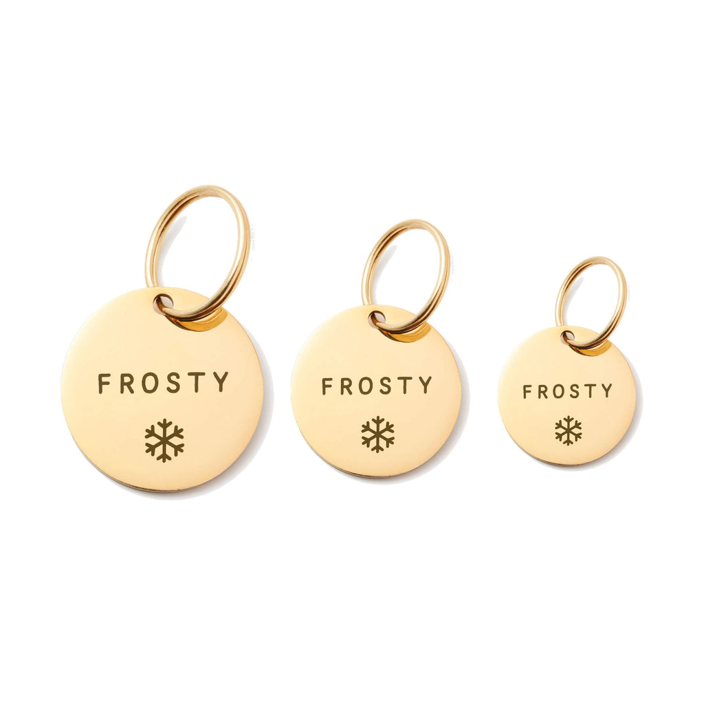 Circle Pet ID Tag: Snowflake Icon