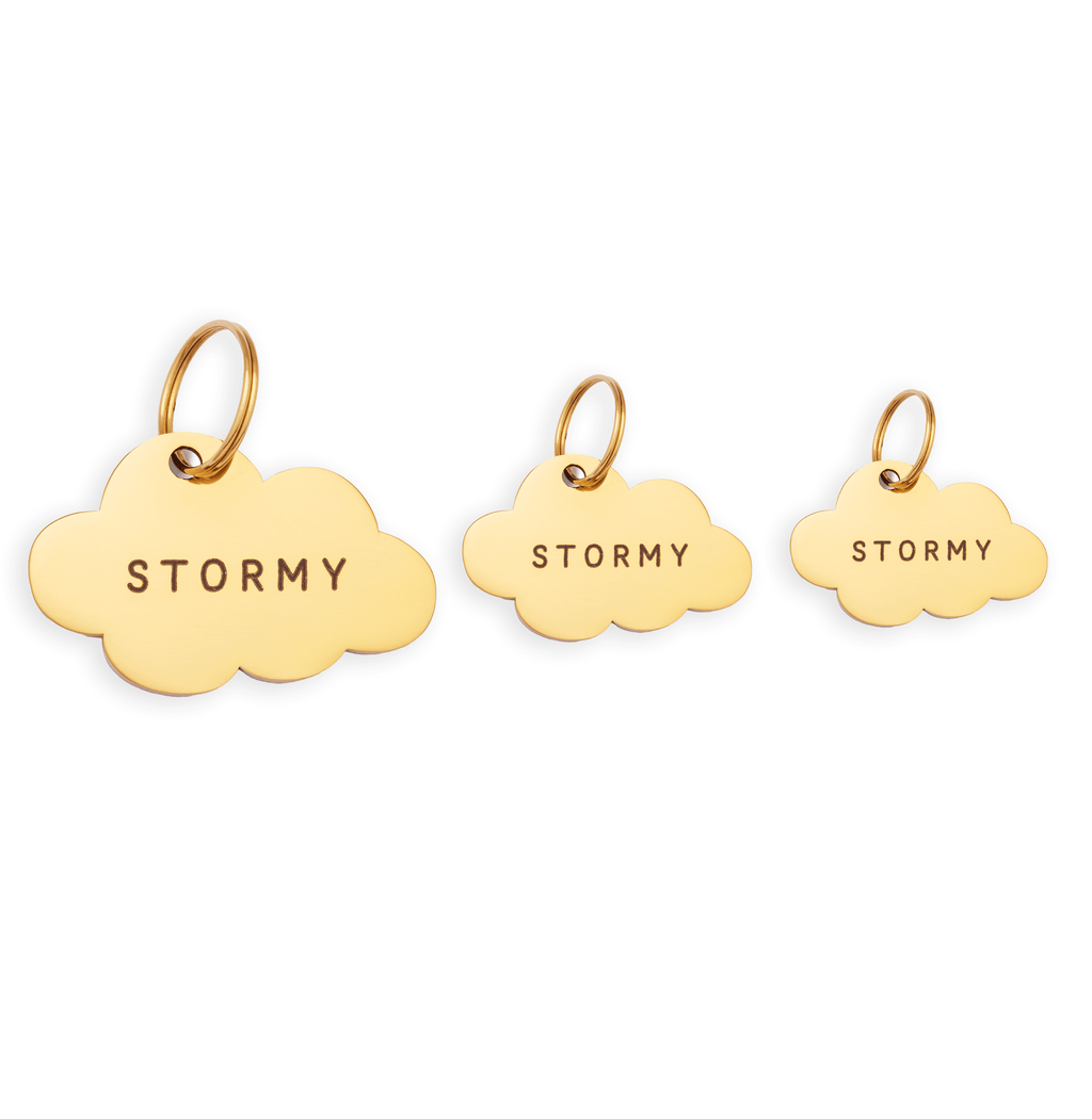 Cloud Pet ID Tag