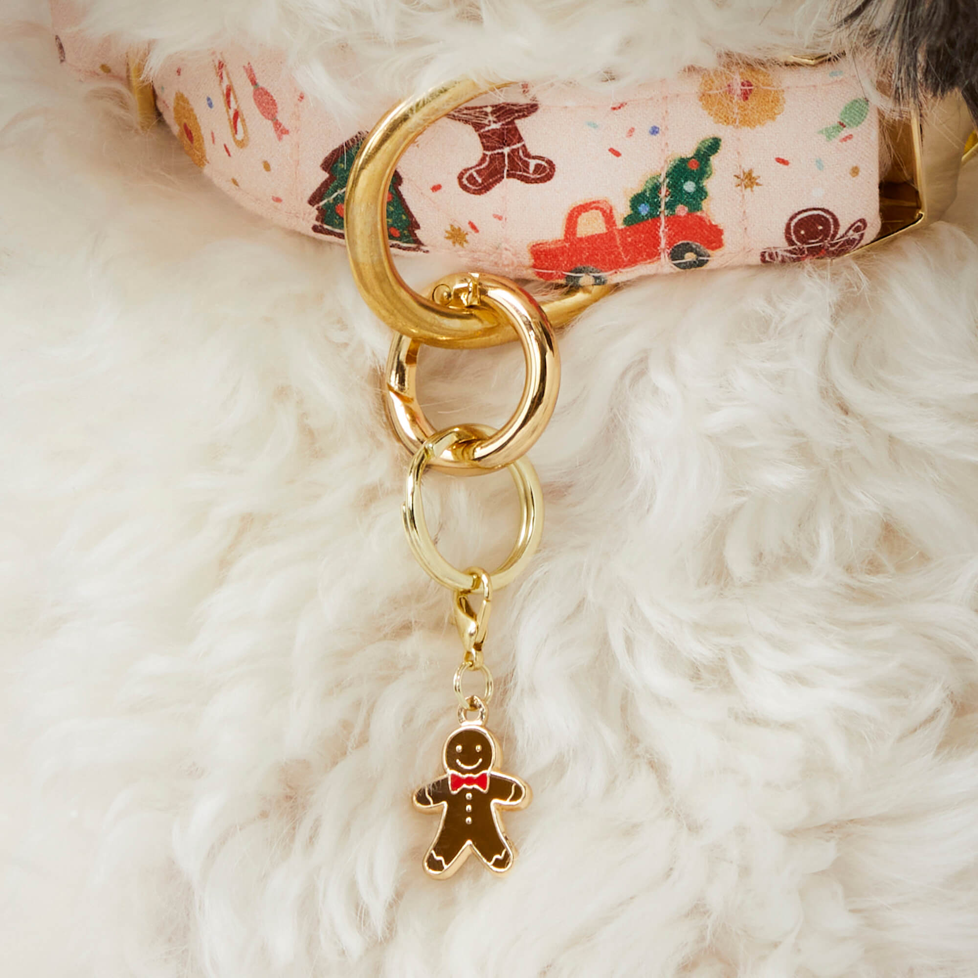 Pet Tag Keeper