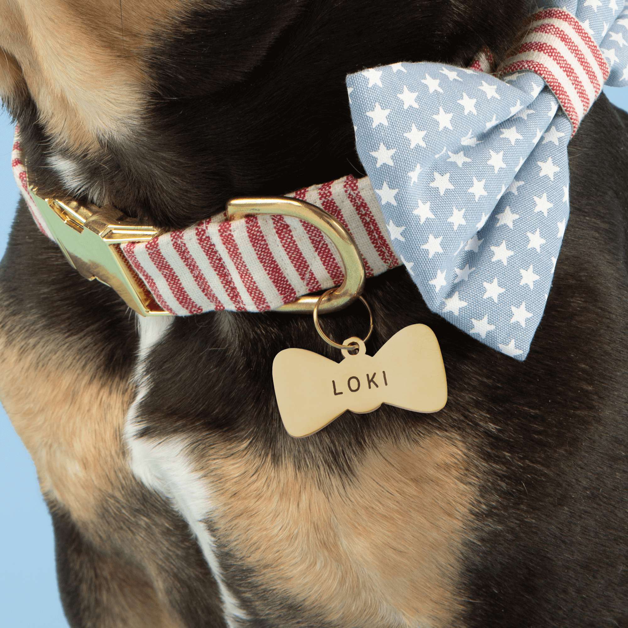 Bow Tie Pet ID Tag
