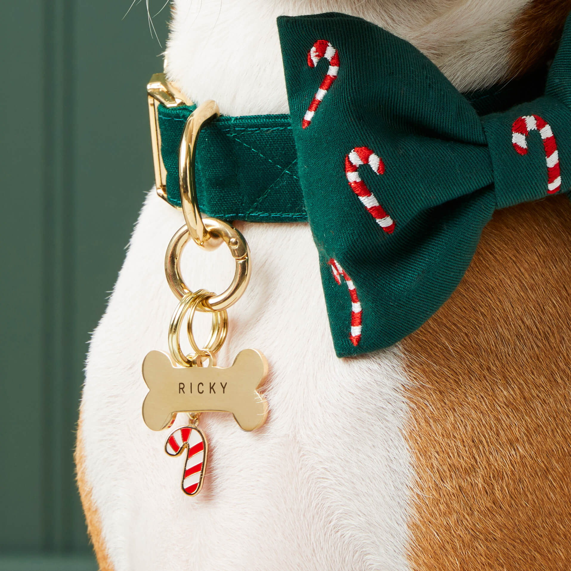 Pet Tag Keeper