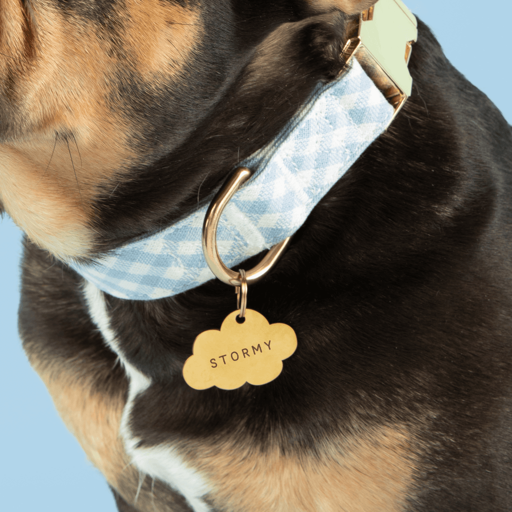 Cloud Pet ID Tag
