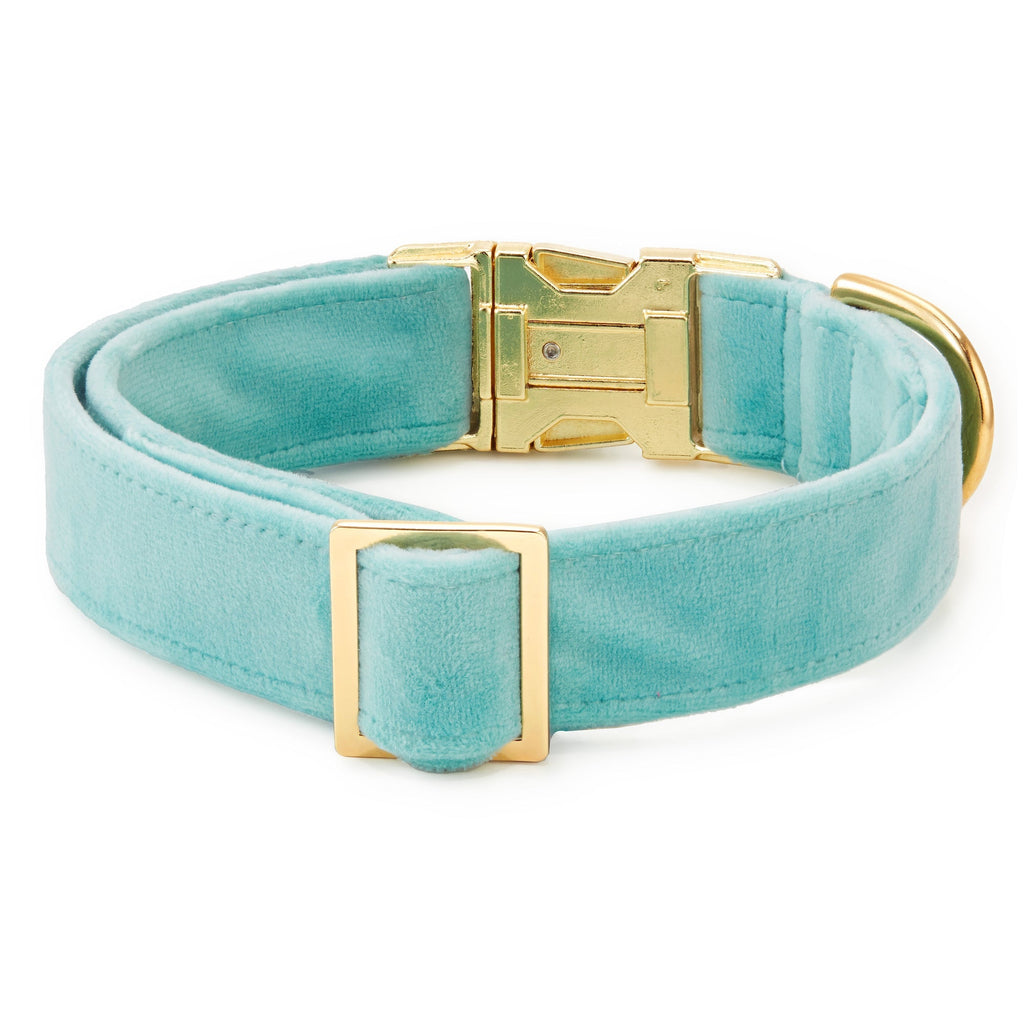 Robin¡¯s Egg Velvet Dog Collar