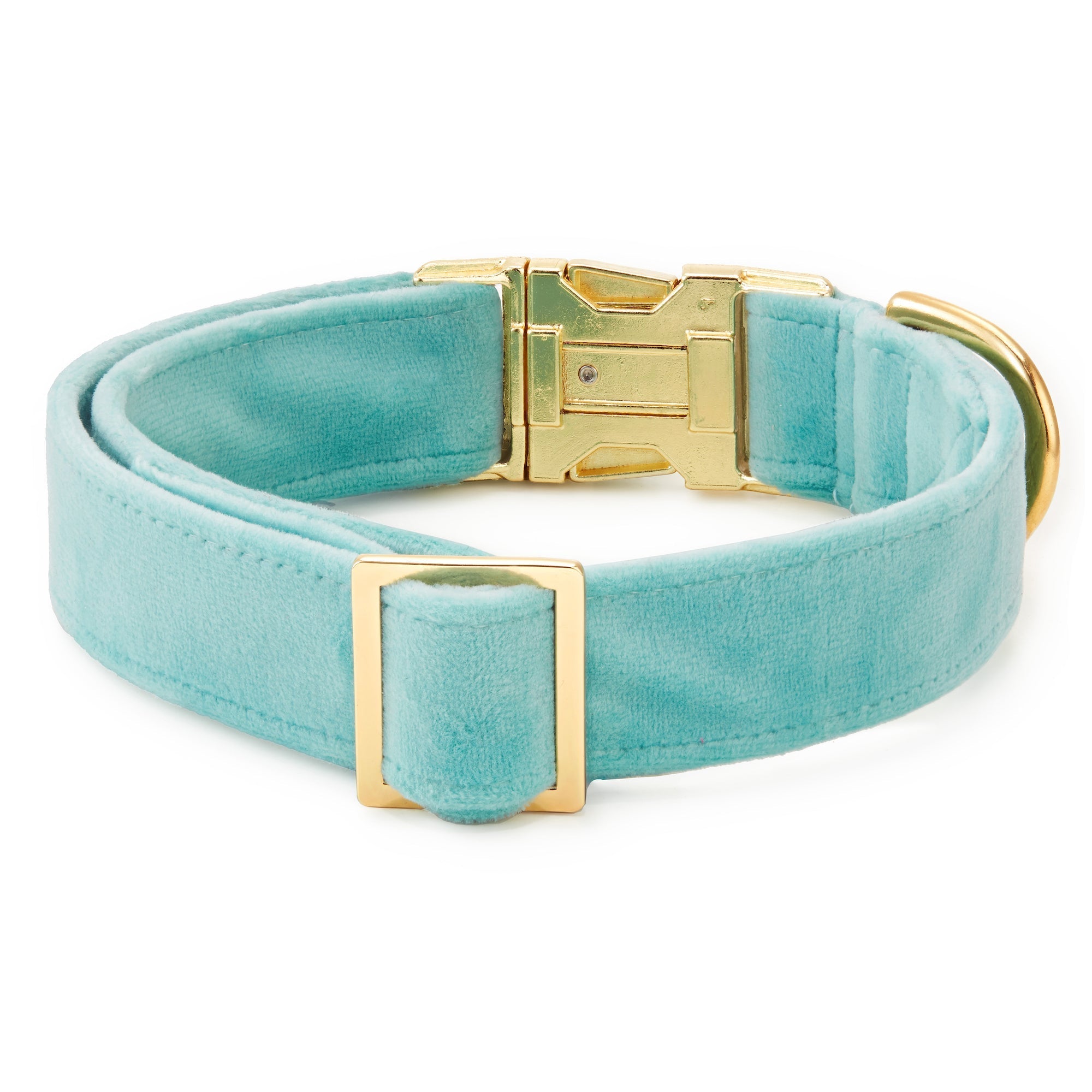 Robin¡¯s Egg Velvet Dog Collar