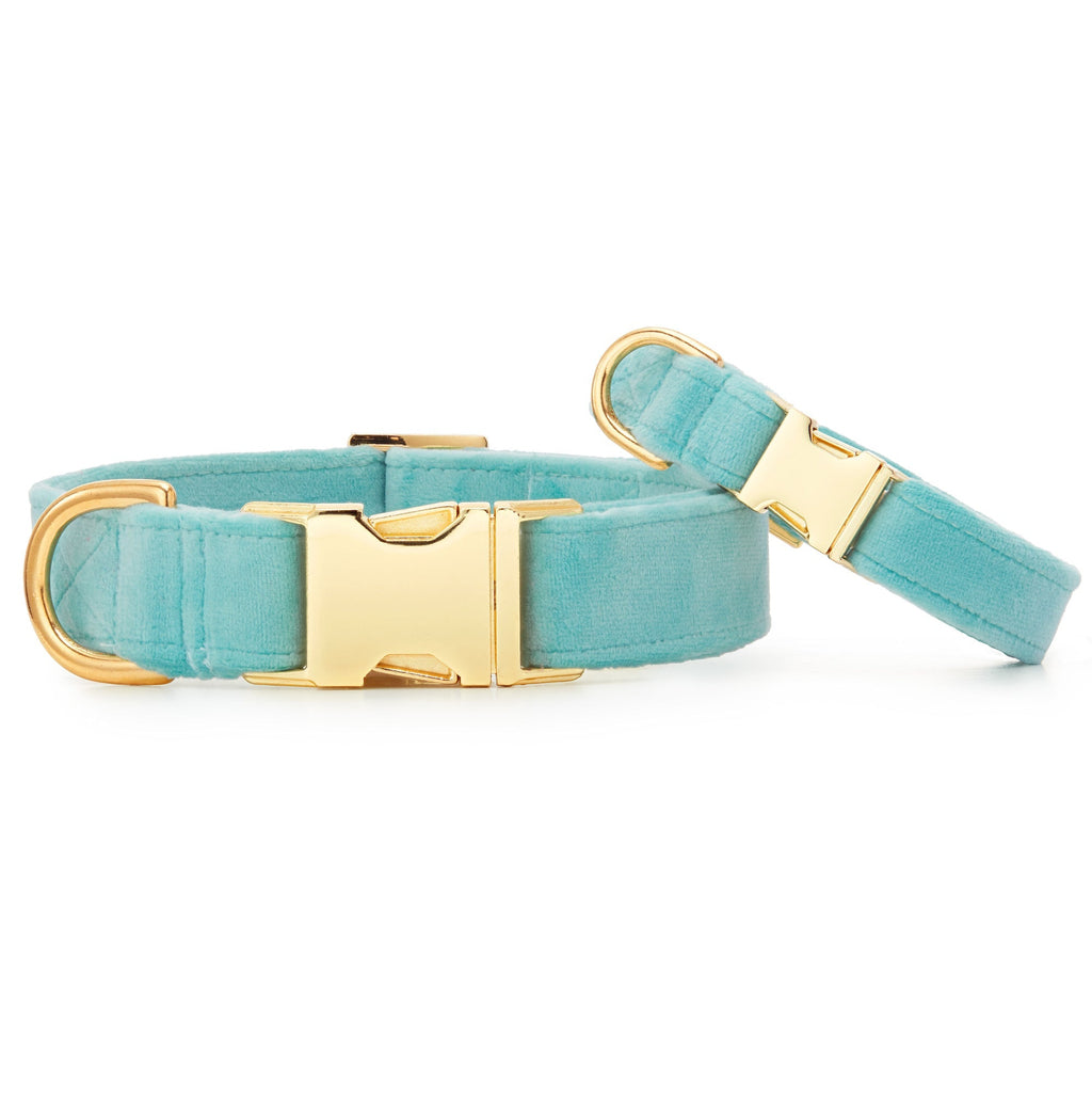 Robin¡¯s Egg Velvet Dog Collar