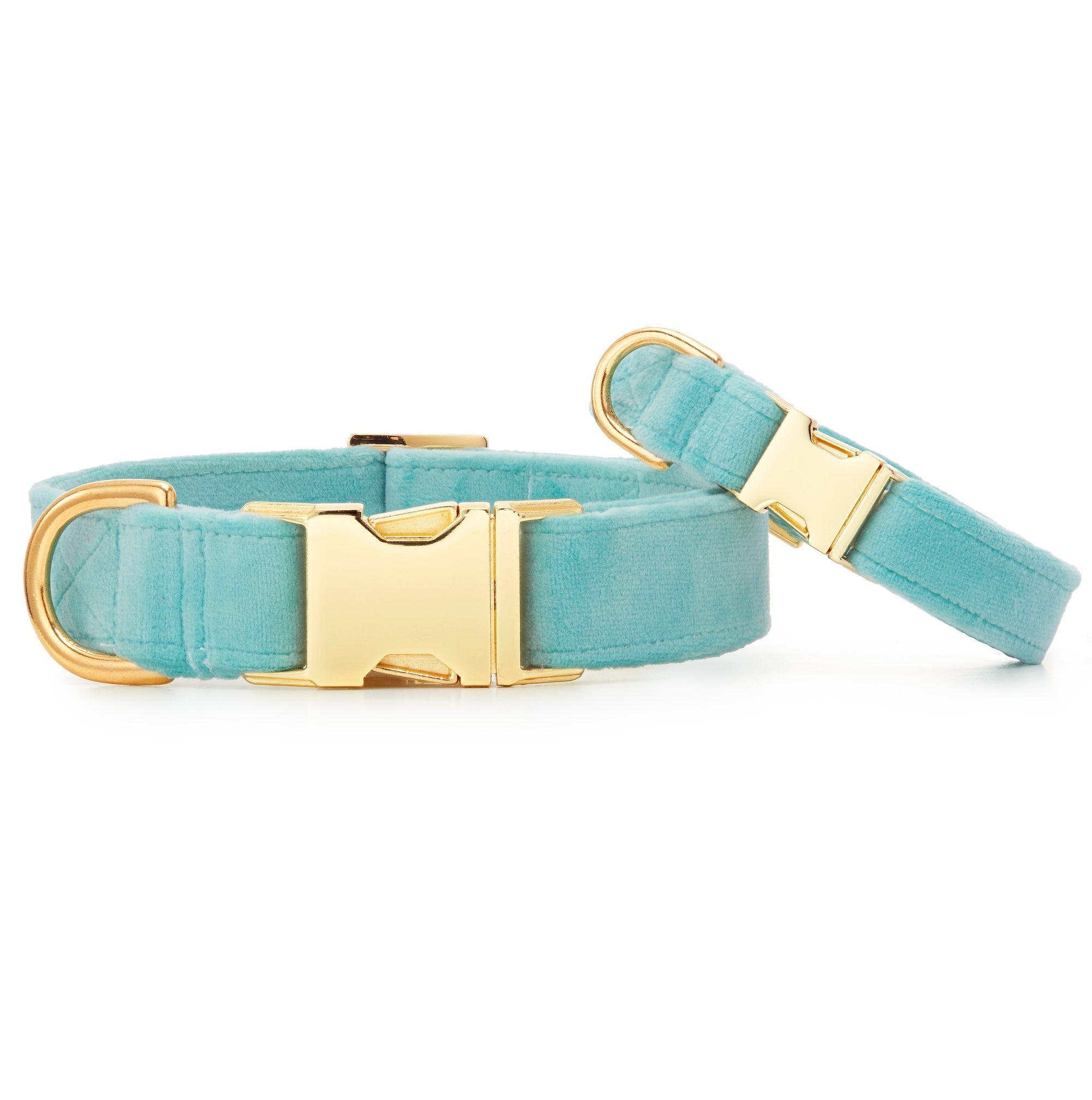 Robin¡¯s Egg Velvet Dog Collar